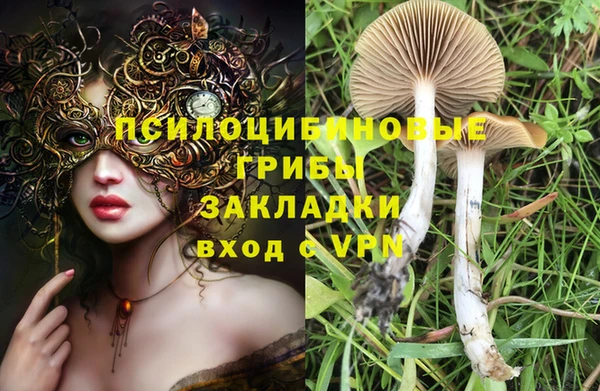 мескалин Алексеевка