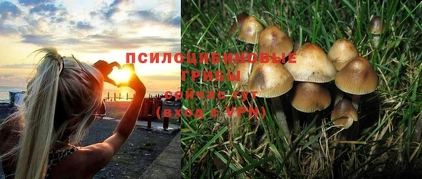 круглые Алексин