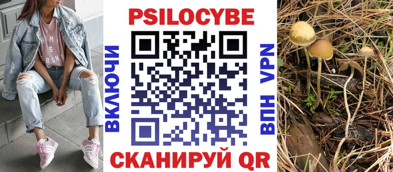 где найти Карпинск Галлюциногенные грибы прущие грибы